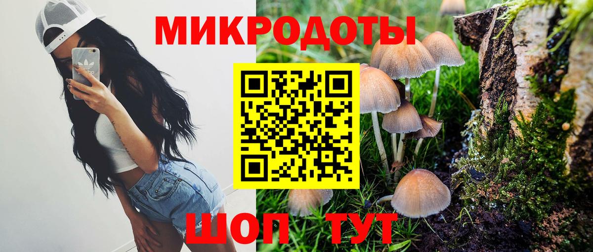 Псилоцибиновые грибы Psilocybe Когалым