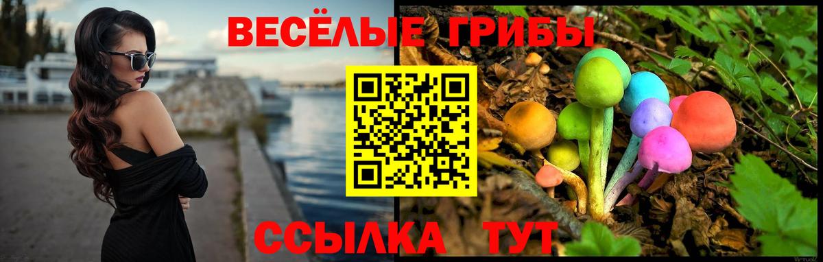 Псилоцибиновые грибы Cubensis  Вход с VPN  Когалым 